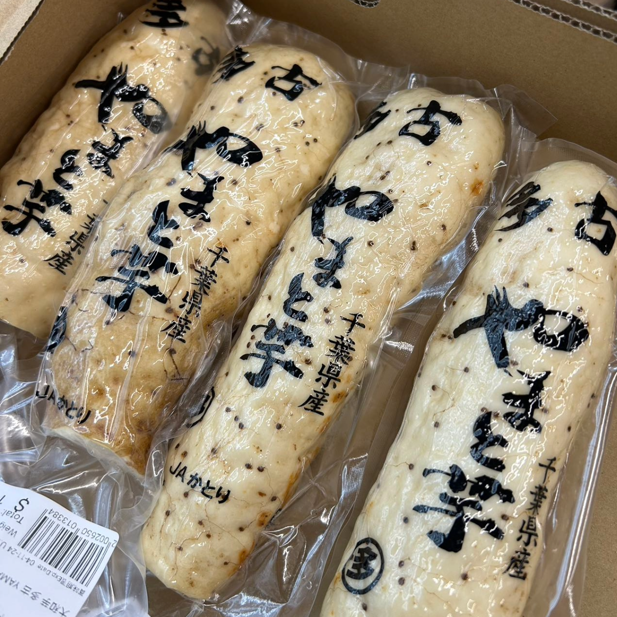 多古 大和芋 ヤマトイモ JAPANESE PREMIUM YAM FROM JAPAN