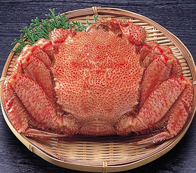 Hokkaido Horsehair Crab 毛蟹 北海道産 (Pre-order Item)