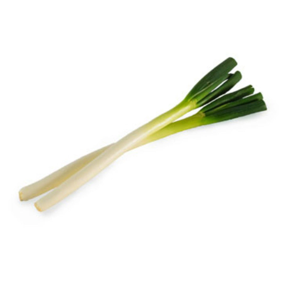 Leek Tokyo-Negi 東京ネギ 0.5lb