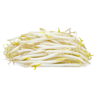 SOY BEAN SPROUTS