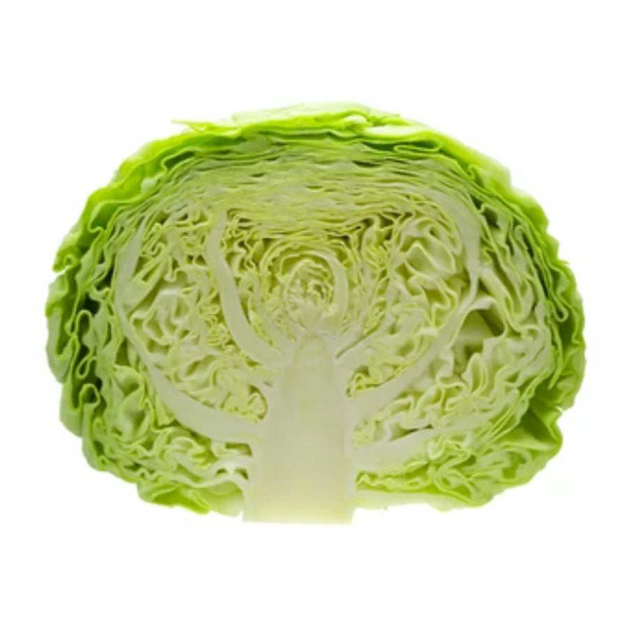 cabbage