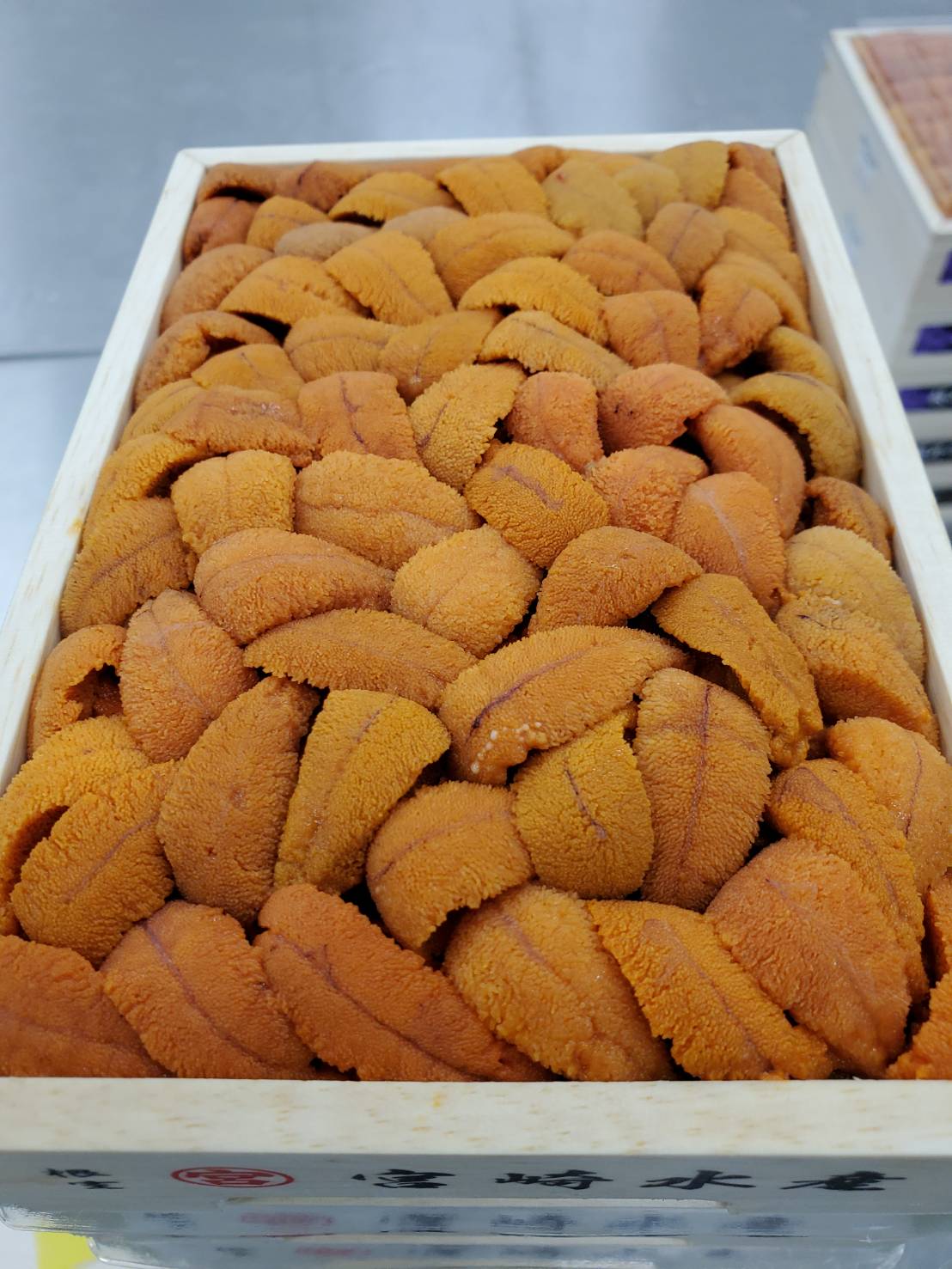 Uni Red Sea Urchin from Hokkaido250g box 豊洲直送!北海道産生うに