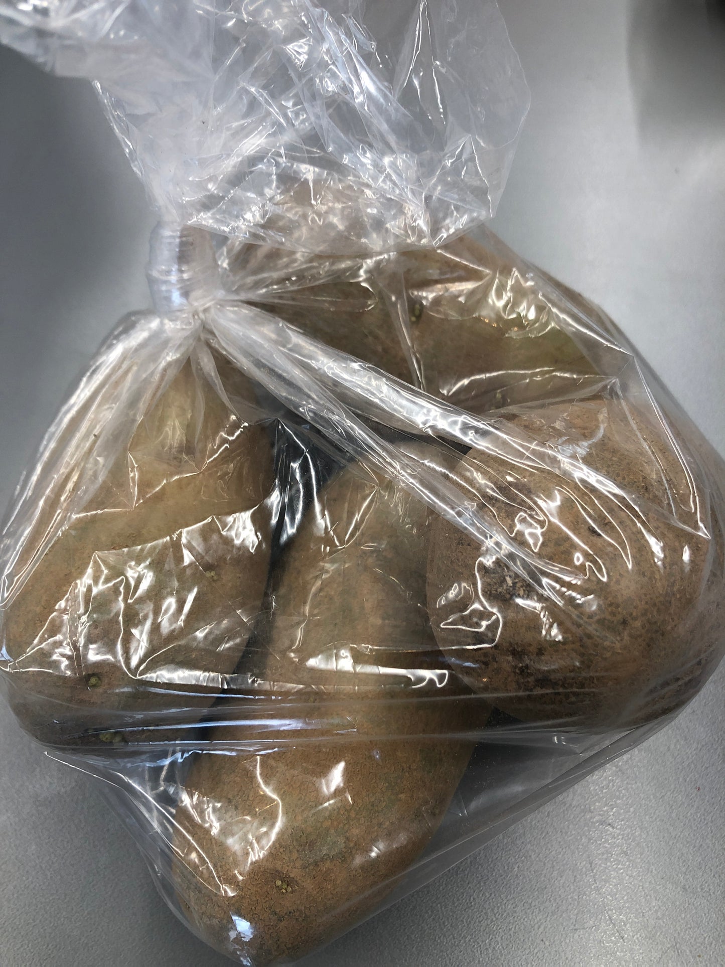 Potato
