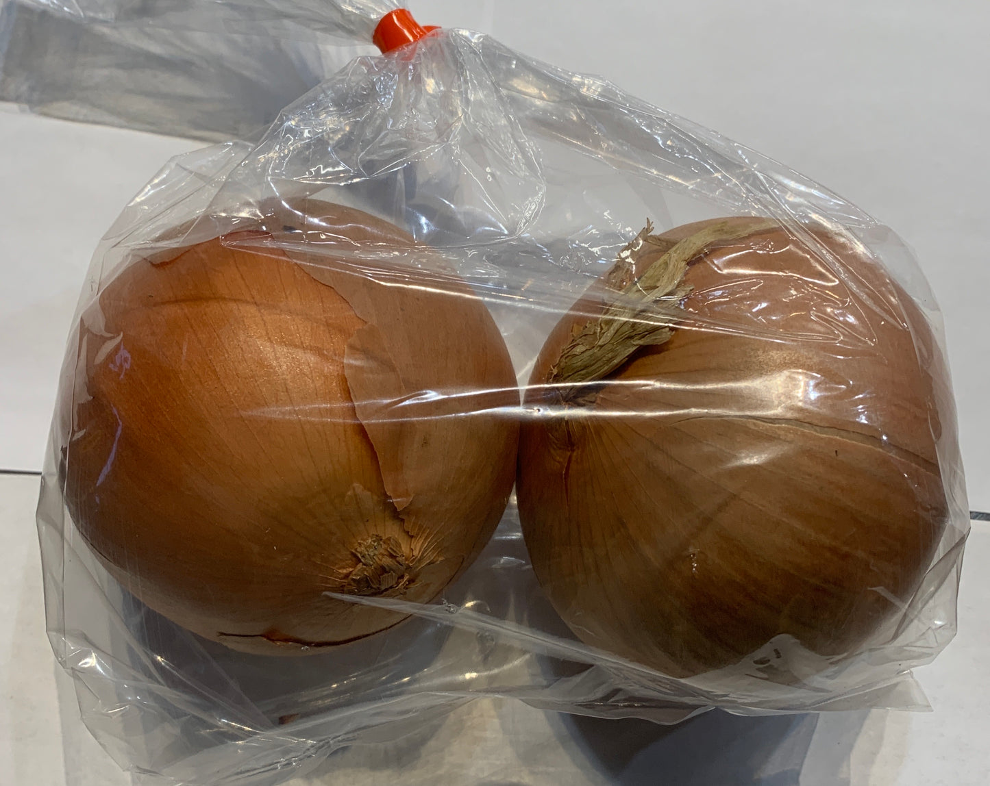 Onion