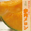 FRESH RED MEAT MELON XL 土佐 赤肉マスクメロン 1.5 -1.7KG