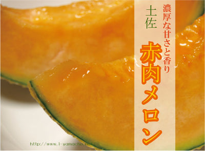 FRESH RED MELON IN BOX 土佐 赤肉マスクメロン 1.3 KG  Fully ripe