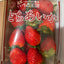 「とちあいか」TOCHIAIKA FROM JAPAN 2024-2025 FRESH STRAWBERRY