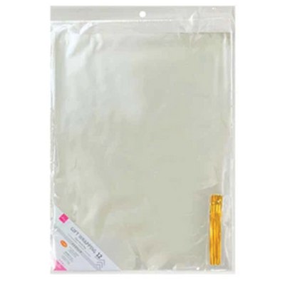 CLEAR PLASTIC BAG 12P 1.31FTX11.81IN
