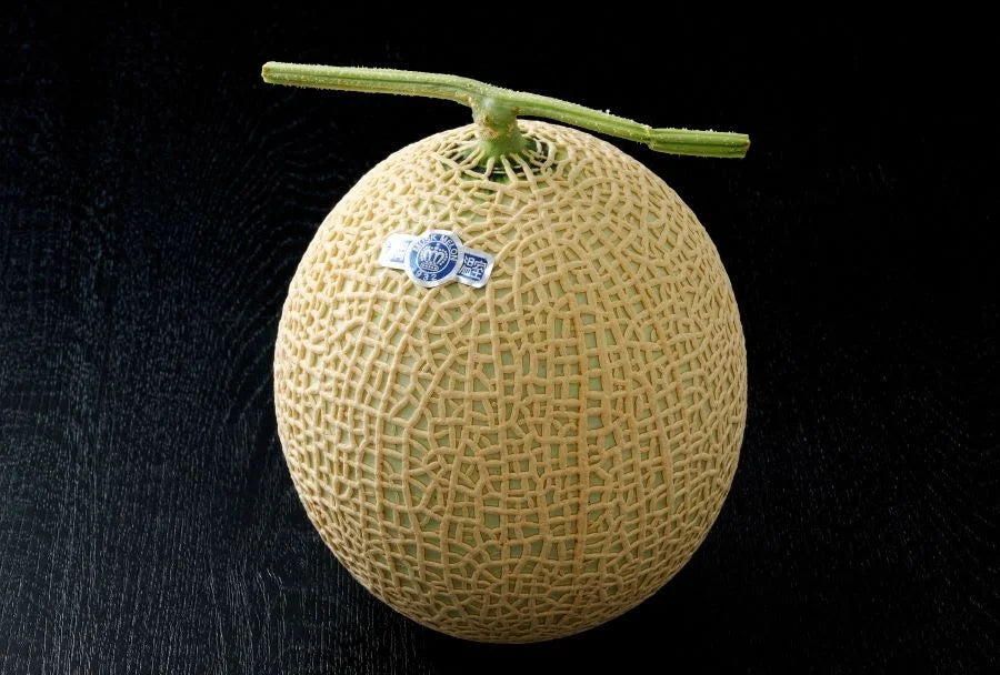 THE BIGEST FRESH CROWN MELON JAPAN 1.7 KG EACH