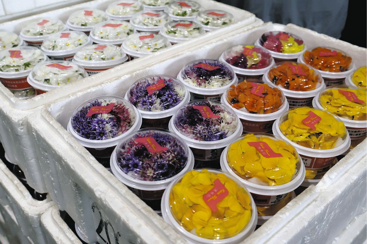 EDIBLE FLOWER JAPAN