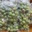 【青梅】FRESH AOUME