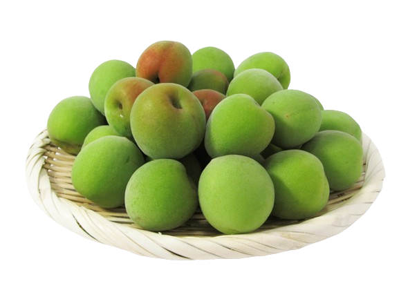 【青梅】FRESH AOUME