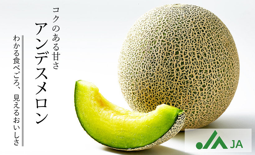 FRESH NON BRAND MELON FROM JAPAN　日本産ローカルメロン 1.3-1.6KG