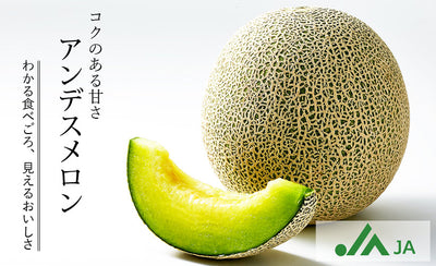 FRESH NON BRAND MELON FROM JAPAN　日本産ローカルメロン 1.3-1.6KG