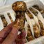 松茸 MATSUTAKE WILD ORGANIC