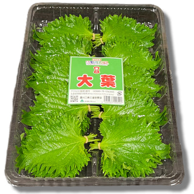 大葉　日本産 OOBA OHBA