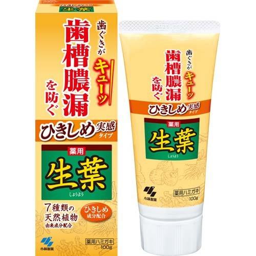 KOBAYASHI SYOYO SPECIAL CARE TOOTH PASTE 100G