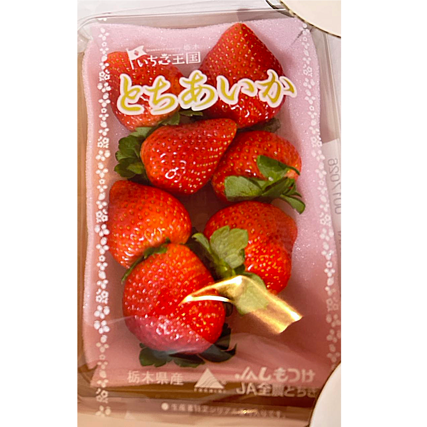 栃木県とちあいか FRESH STRAWBERRY TOCHIAIKA FROM JAPAN