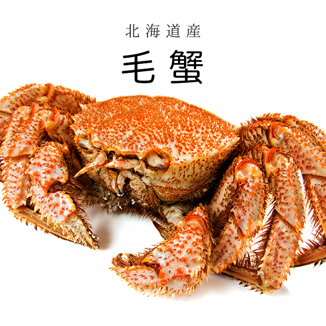 Hokkaido Horsehair Crab 毛蟹 北海道産 (Pre-order Item)