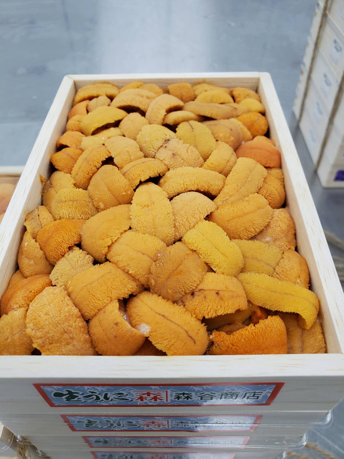 Uni Red Sea Urchin from Hokkaido250g box 豊洲直送!北海道産生うに