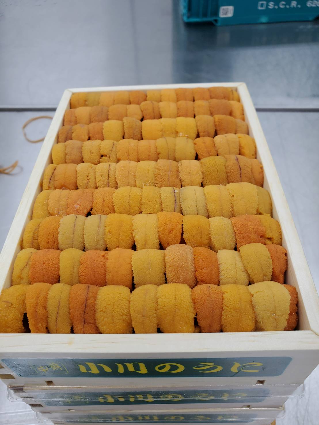 Uni Red Sea Urchin Premium from Hokkaido300g-400g box 豊洲直送!北海道産生うに