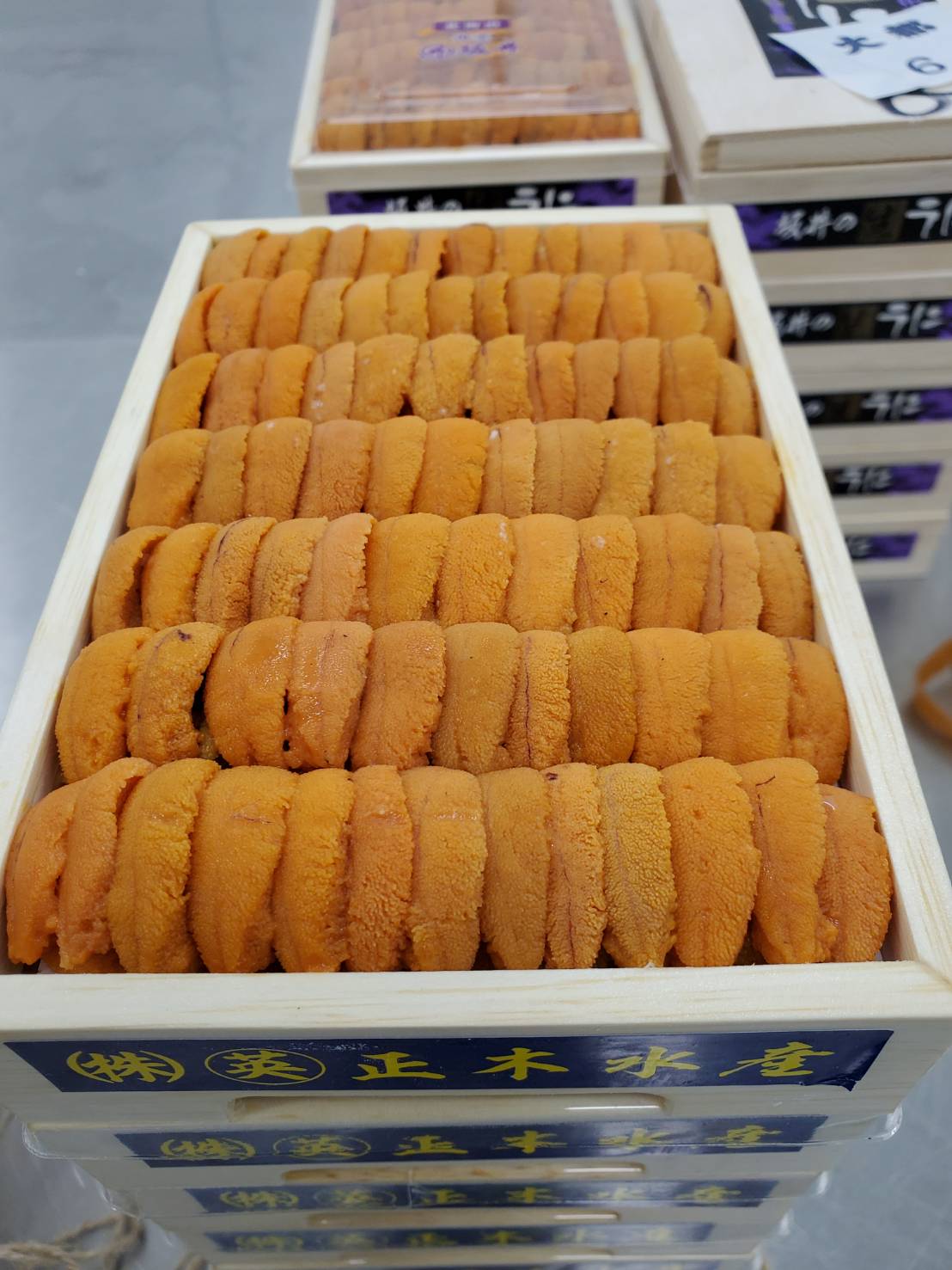 Uni Red Sea Urchin Med Premium from Hokkaido250g box 豊洲直送!北海道産生うに