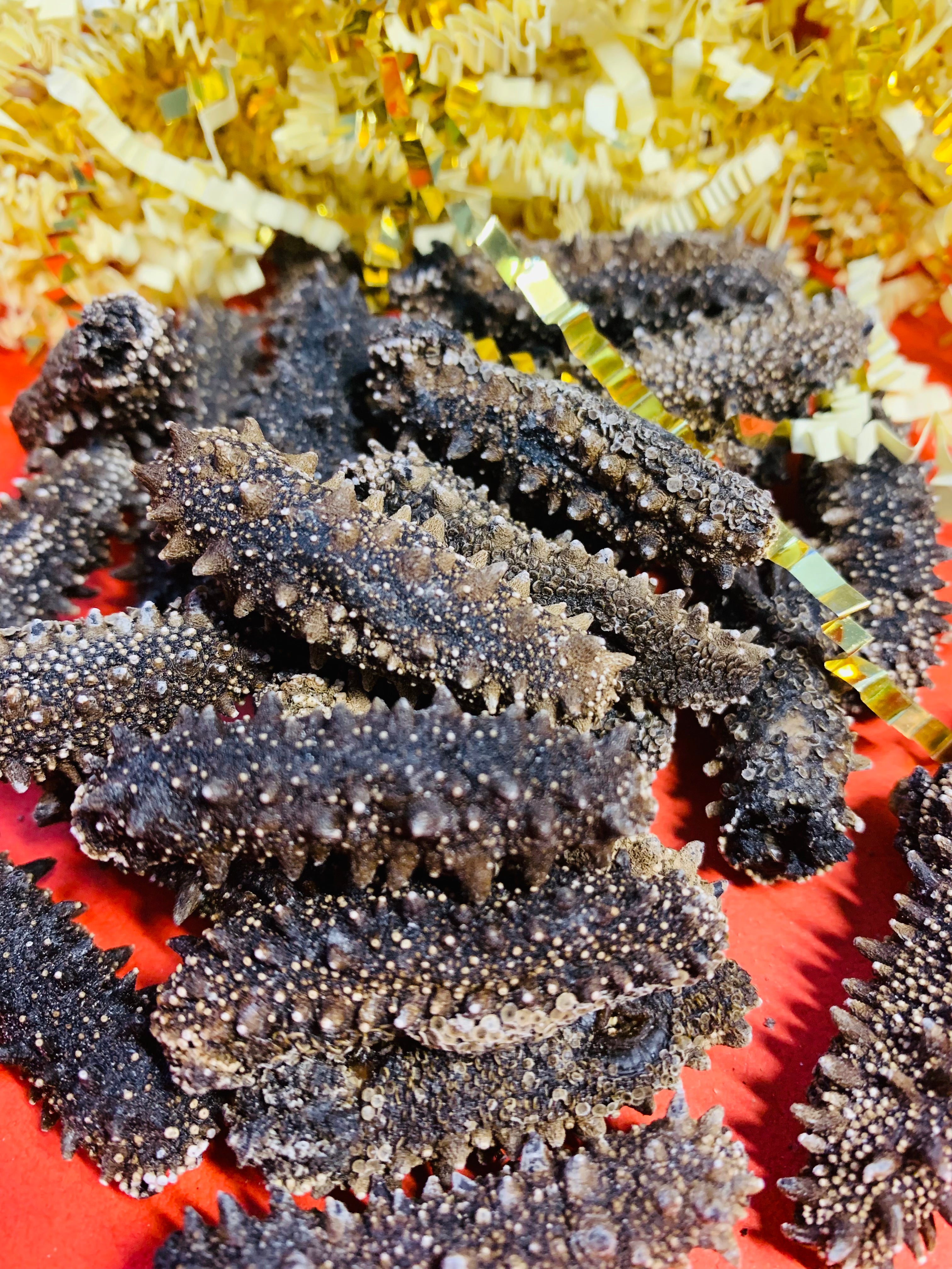 北海道産最高級乾燥なまこ 250ｇ DRY SEA CUCUMBER GIFT BOX【乾燥海參禮盒】