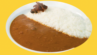 Teinei Ya Original Curry (veggie)